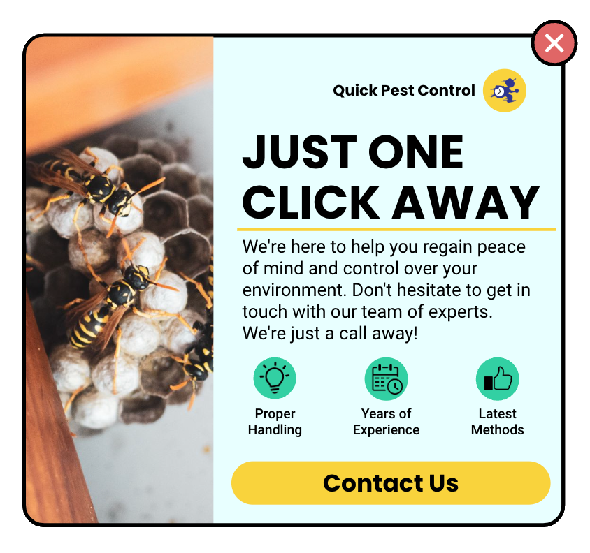 Popup Image